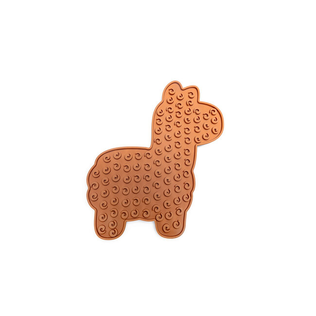 BZ Likmat Lama Molly