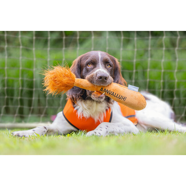 Holland Leeuwenstaart