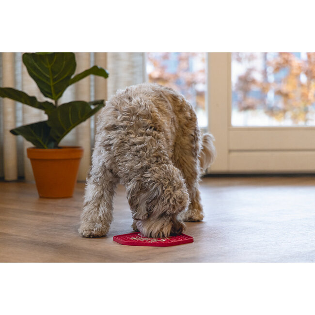 Siliconen Likmat Hexagon roze