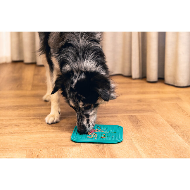 Siliconen Likmat Fijnproever