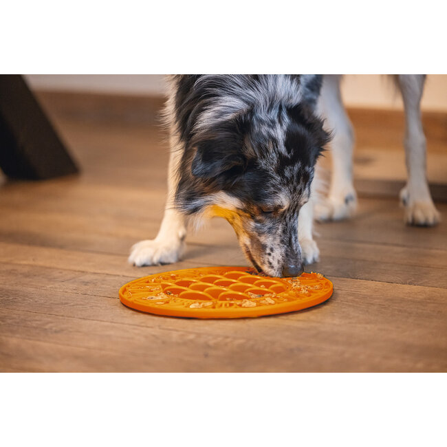 Siliconen Likmat Zonnebloem