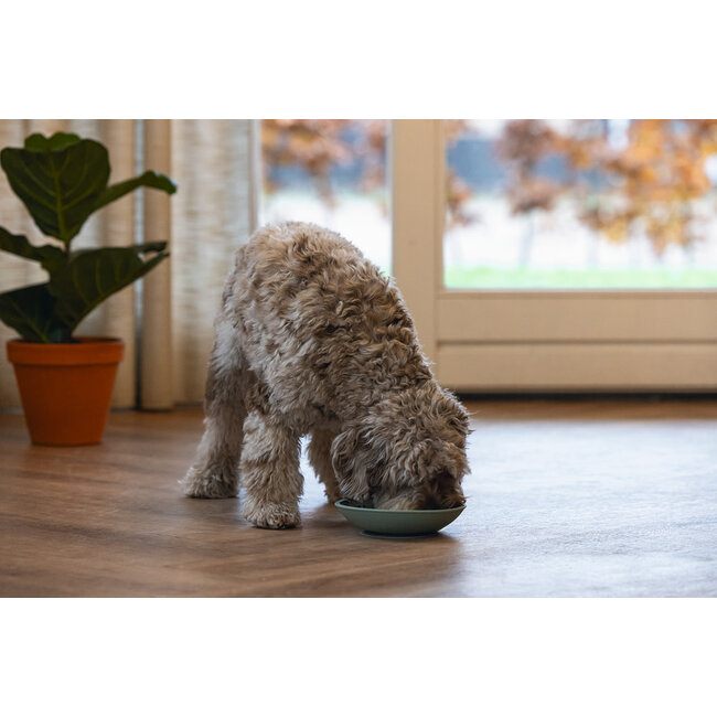 Siliconen Likmat Schotel Groen