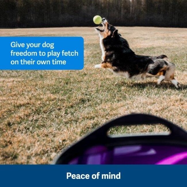 Petsafe Automatic Ball Launcher
