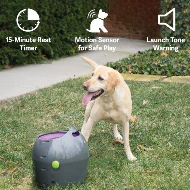 Petsafe Automatic Ball Launcher