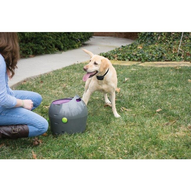 Petsafe Automatic Ball Launcher