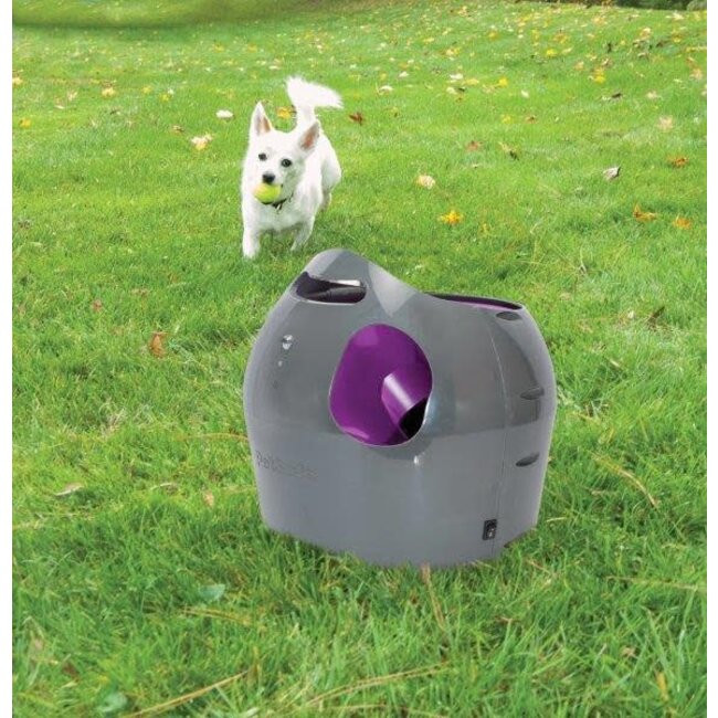 Petsafe Automatic Ball Launcher