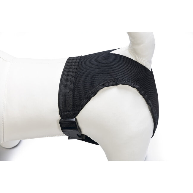 Beeztees Loopsheidsbroekje