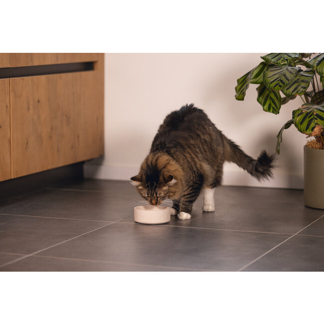 DBL Bamboo Eetbak Kat Noor Beige 12 cm