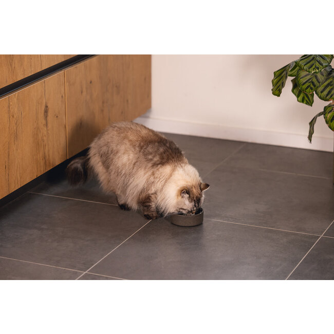 DBL Bamboo Eetbak Noor Grijs 12 cm