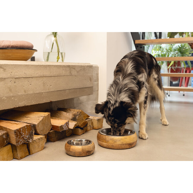 DBL Eet- en drinkbak Mandira