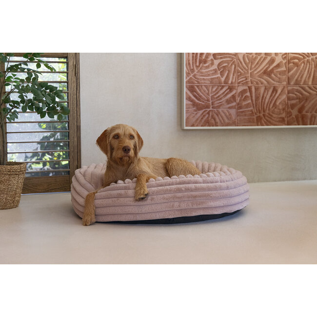 BZ Designed by Lotte Reza Roze