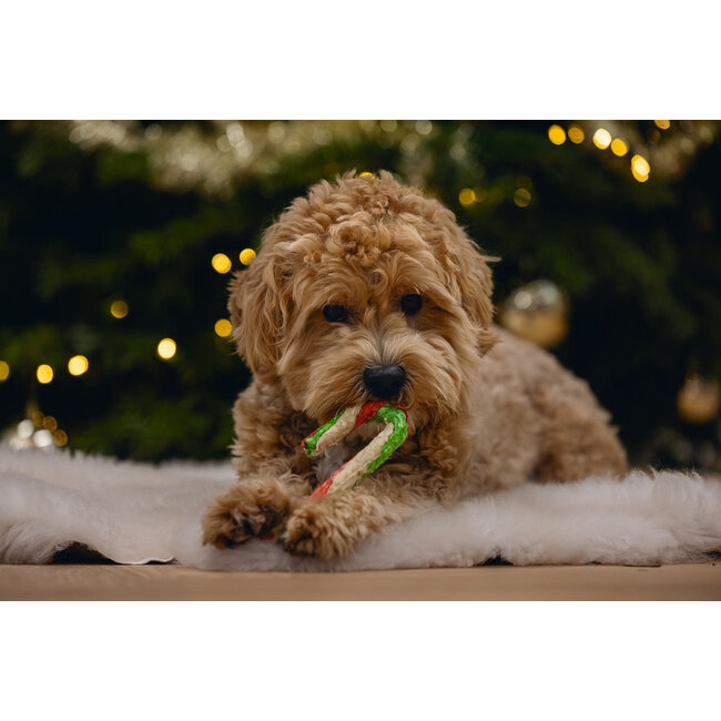 Kerst Candy Cane Munchy