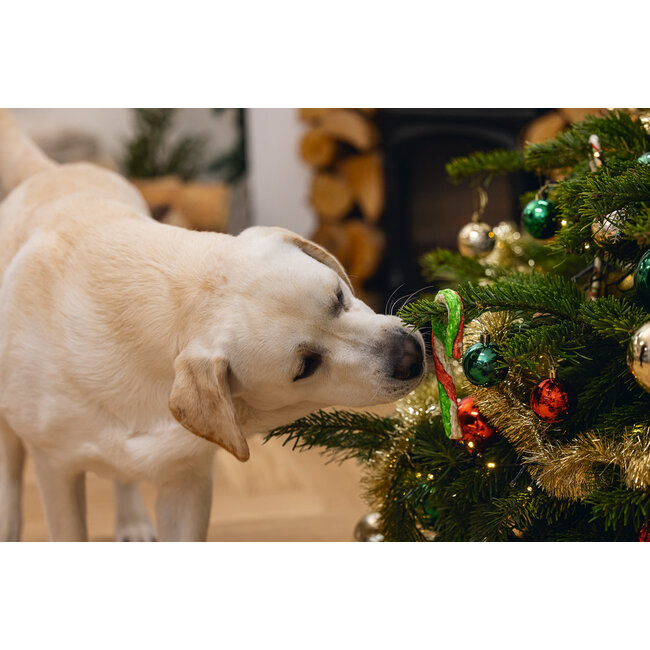 Kerst Candy Cane Munchy