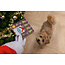 Kerstkoekjes Mix 32 stuks