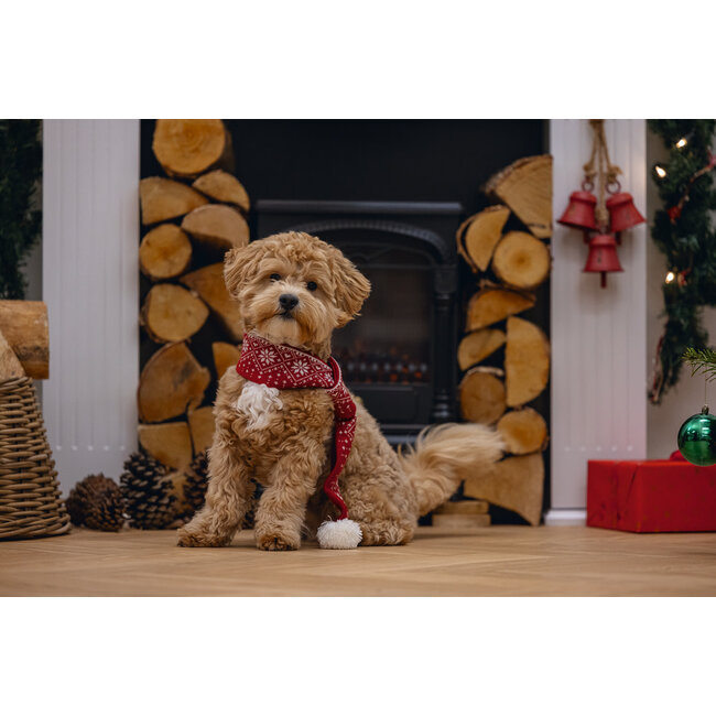 Kerstsjaal Hond
