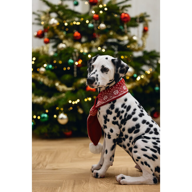 Kerstsjaal Hond