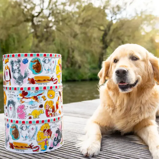 Blond Bewaarblik Hond 24 cm