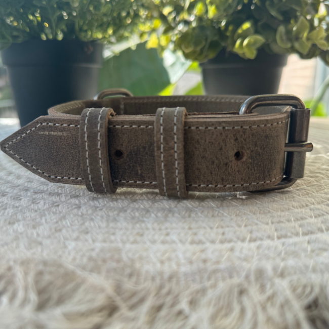 Leren Halsband Castor - Olijf