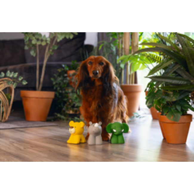 BZ LTX HSP JUNGLE DIEREN ASS