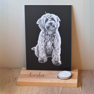 Smulders Paws & Prints Foto 20 x 30 cm