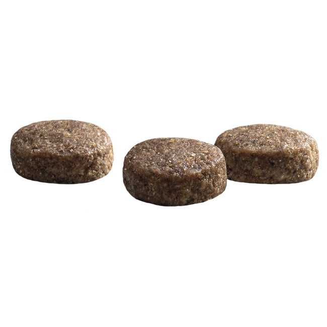 Prins Protection Senior Croque