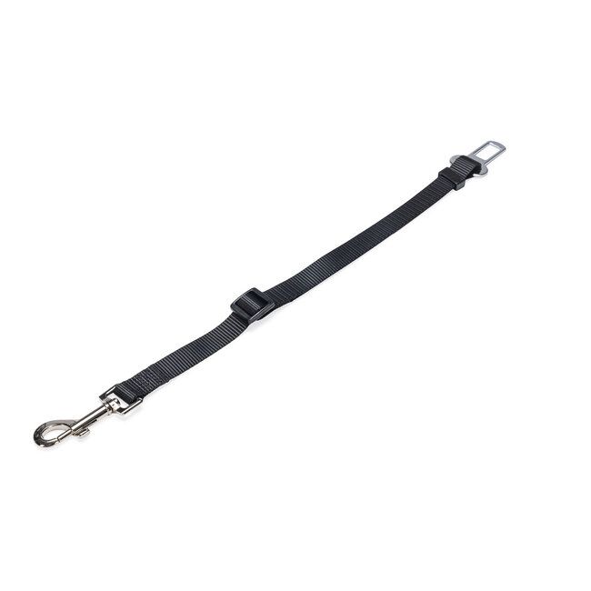 Tussenlijn voor Autogordel