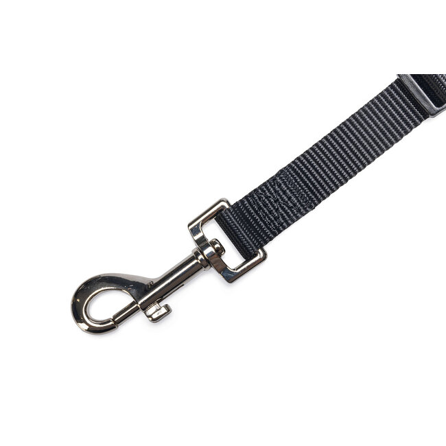 Tussenlijn voor Autogordel