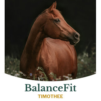 Metazoa Metazoa Balancefit Timothee 15kg