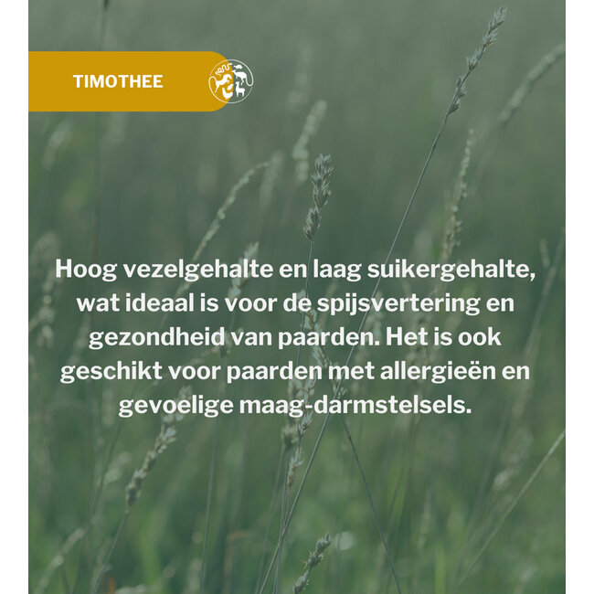 Metazoa Balancefit Timothee 15kg