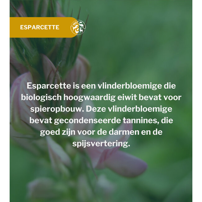 Metazoa FitRight Esparcette 15kg