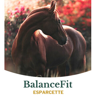 Metazoa Metazoa Balancefit Esparcette 15kg