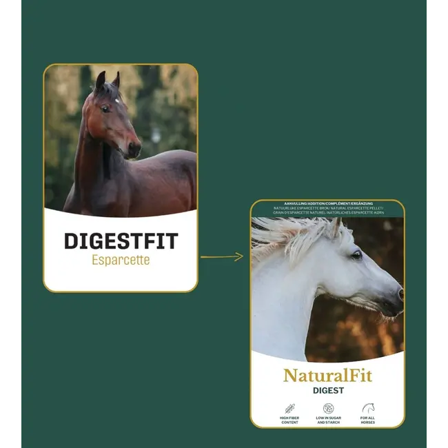 Metazoa DigestFit Esparcette 15kg