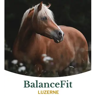 Metazoa Metazoa Balancefit Luzerne 15kg