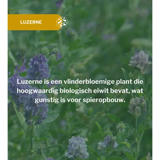 Metazoa NaturalFit Muscle 15kg