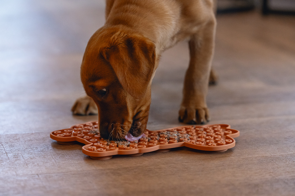 Likmatten: de perfecte traktatie én bezigheid voor hond én kat!