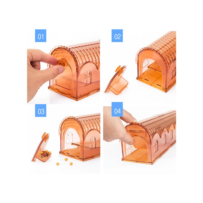 Knock Pest Rattenval Levend