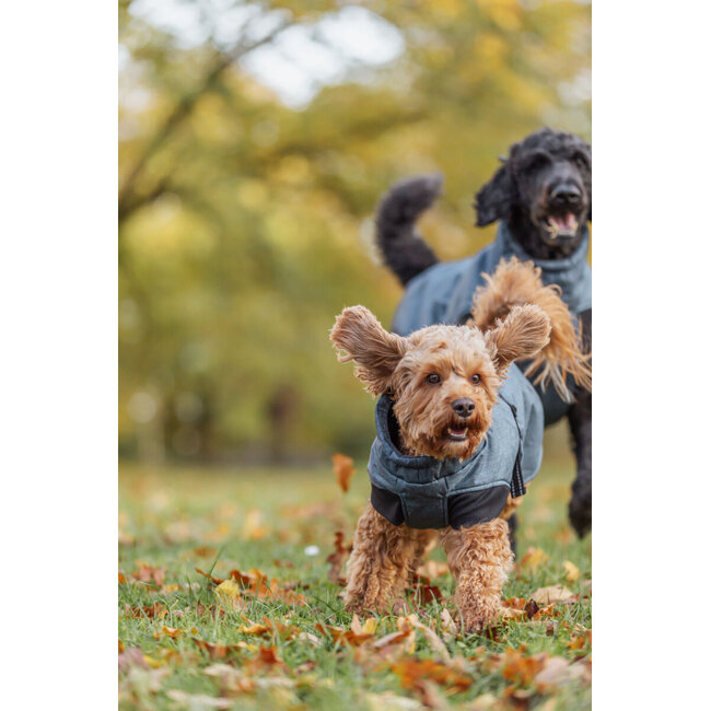 Winterjas Riom Donker Blauw