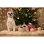 BZ Kerst XL Knuffel Comet