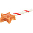 Lollipop Kerstster