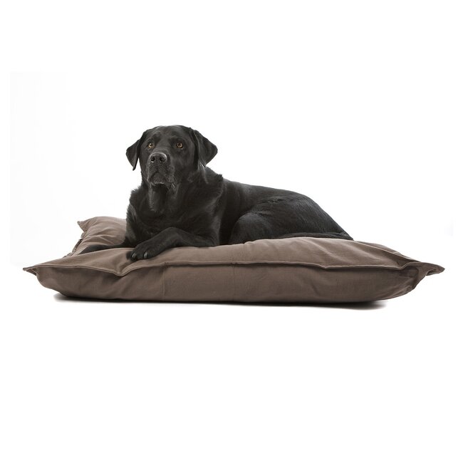 Orthopedic Rectangle Tivoli 100X70 Taupe