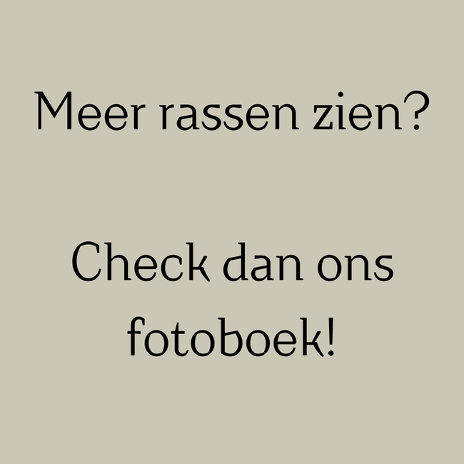 Borrelplank Dog Lover - met je eigen ras!
