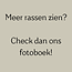 Borrelplank Dog Lover - met je eigen ras!