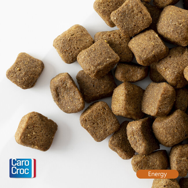 CaroCroc Energy (25/16)