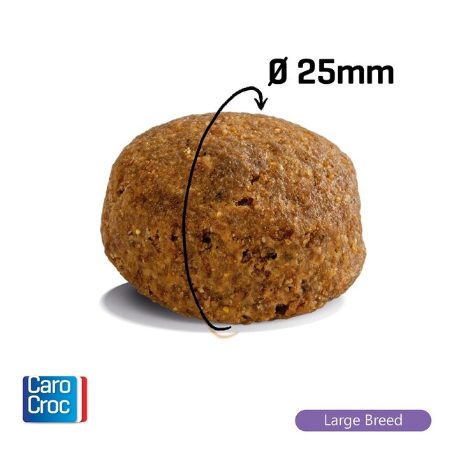 Carocroc Large Breed