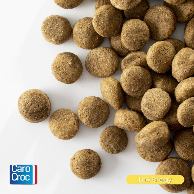 Carocroc Low Energy (22/8)
