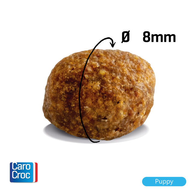 Carocroc Puppy (28/18)