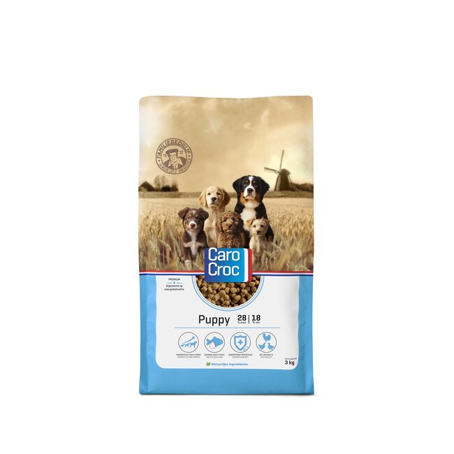 Carocroc Puppy (28/18)