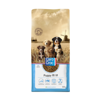 Carocroc Carocroc Puppy (28/18)