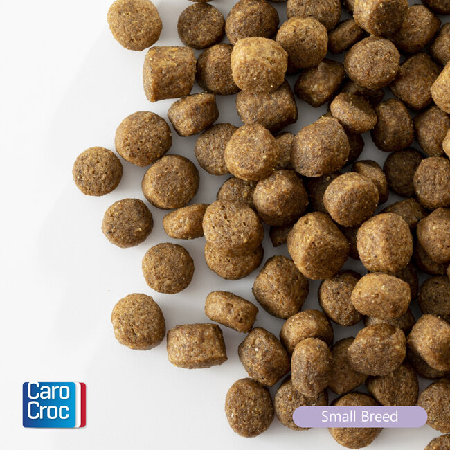 Carocroc Small Breed (25/16)