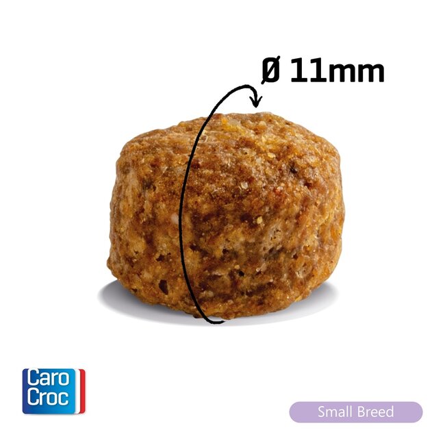 Carocroc Small Breed (25/16)